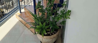 Cozy City Condo/apartment Escape in Davao