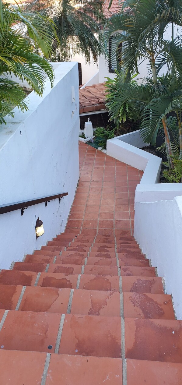 Terrain de l’hébergement 