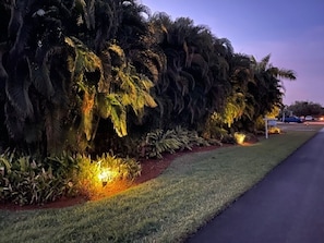 A landscaped area with palm trees and a paved walkway. - Updated Tropical Oasis, Very Private, Book now for Family Vacations (Bonita Springs)
