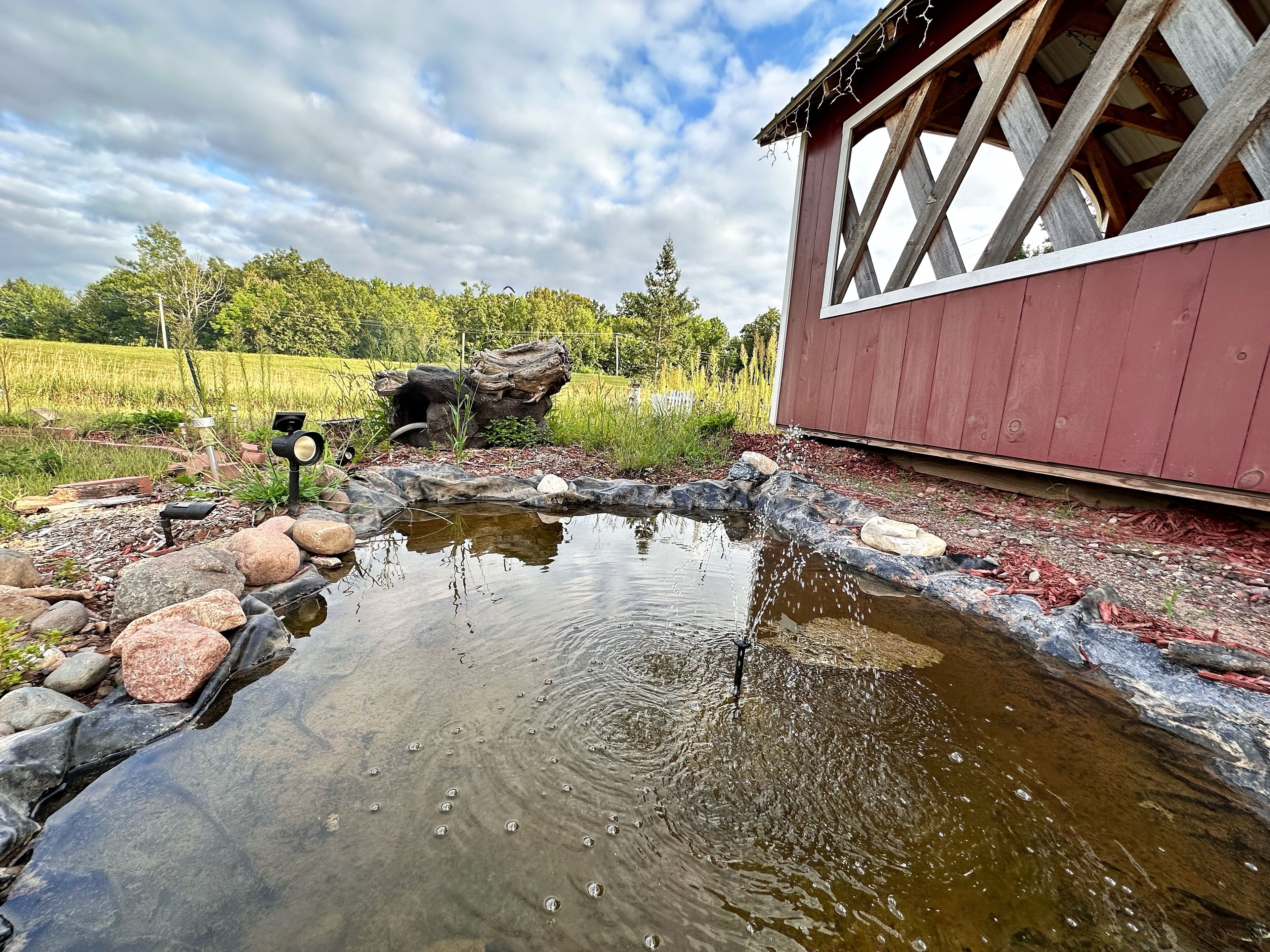 A pond with rocks and a wooden structure in the background.