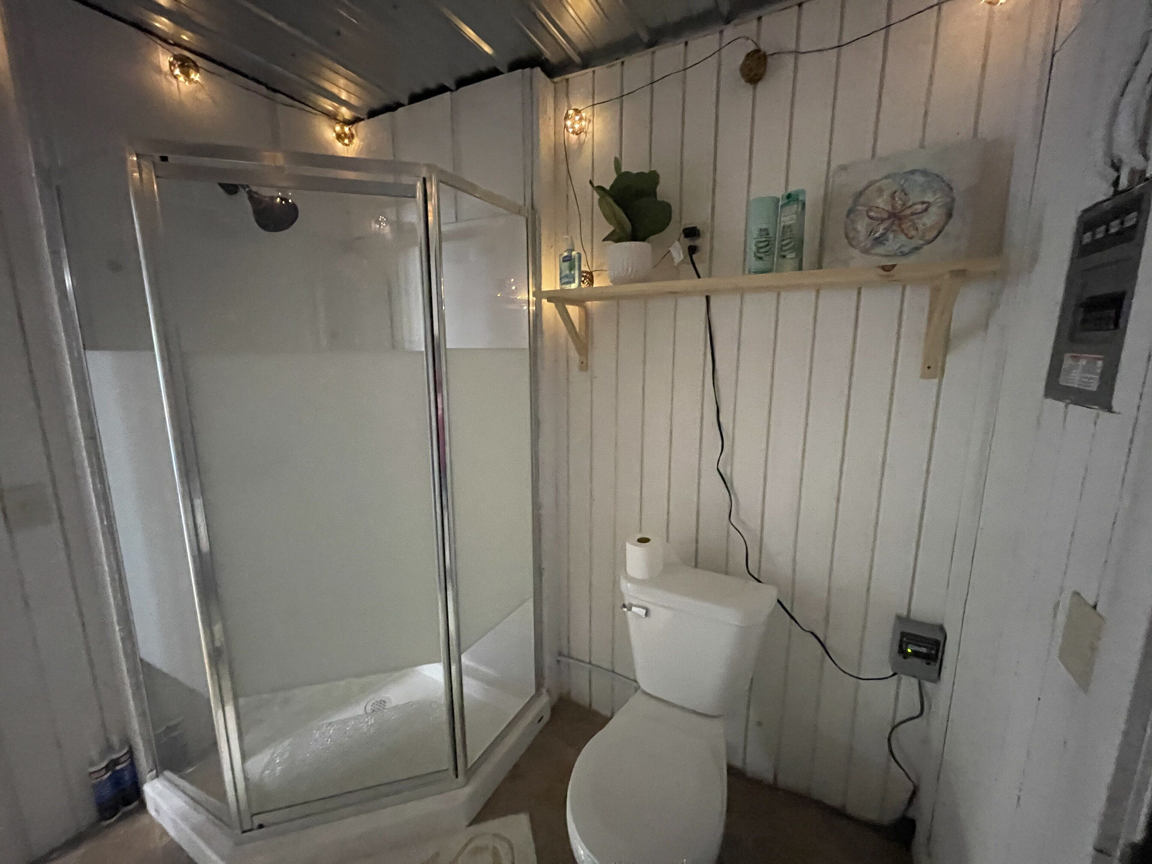 Shower, towels, toilet paper
