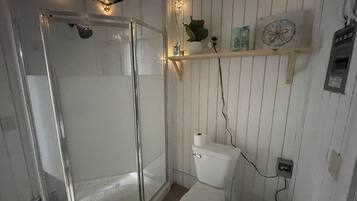 Shower, towels, toilet paper