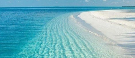 On the beach, sun-loungers