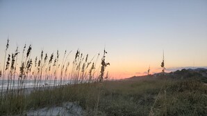 Eine Küstenlandschaft mit Dünen und hohem Gras bei Sonnenuntergang.