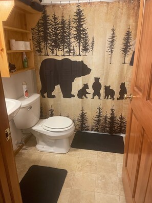 Combined shower/bathtub, hair dryer, towels, toilet paper