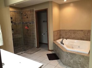 Bathroom - River Front House (East Moline)