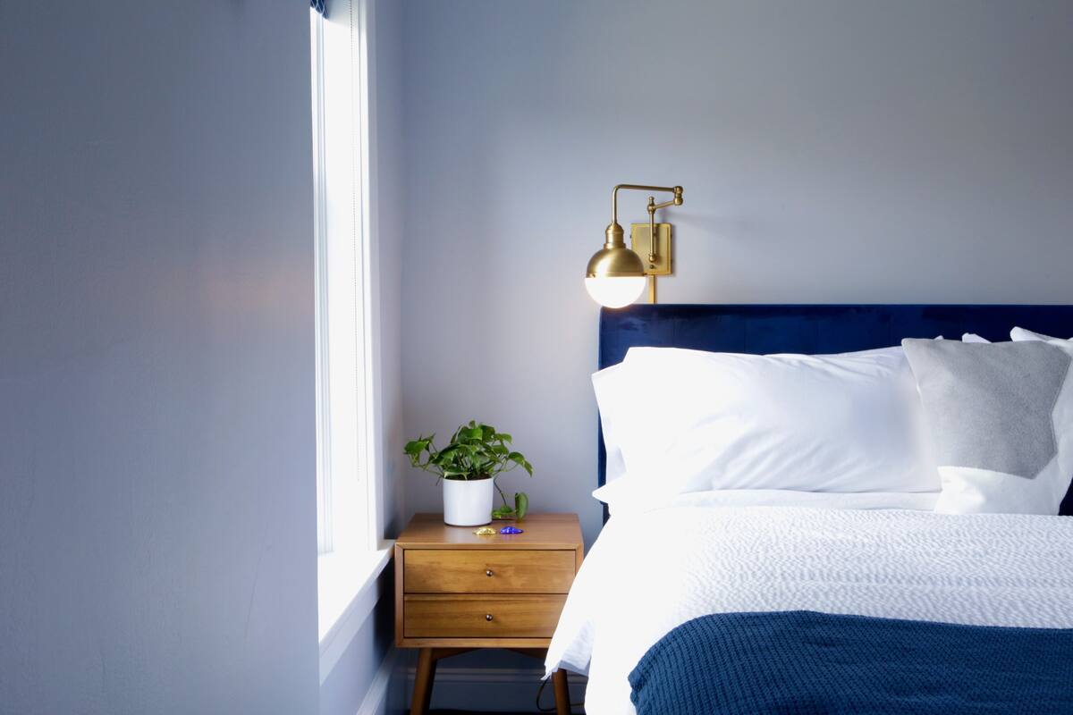 A neatly made bed with white and blue bedding, a bedside table with a potted plant, and a wall-mounted lamp.