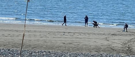 海滩