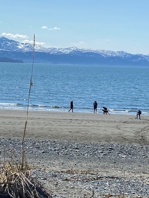 Beach - Stellar House! (Kenai)