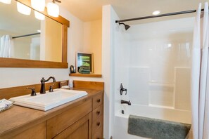 Combined shower/bathtub, hair dryer, towels, soap - Luxury ski chalet with mountain views, minutes to ski lifts (Ketchum)
