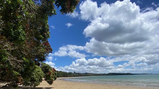 A sandy beach with scattered toys and trees providing shade. - Coopers Haven Beachfront House (Coopers Beach)