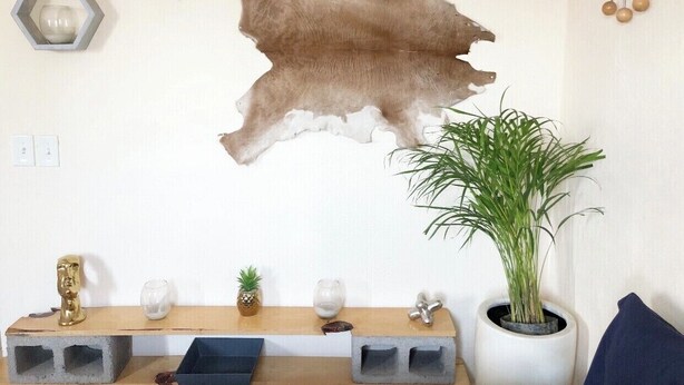 A room with a wooden console table, a potted plant, and a large animal hide on the wall. - Cozy & Lovely Studio! w/ DISNEY+, NETFLIX & More!! (zamora)