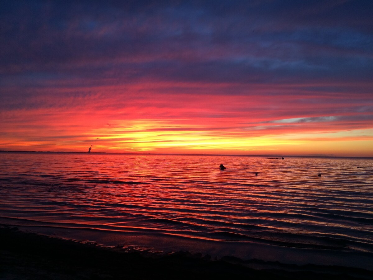 Imagen de perfil del propietario o de la propietaria