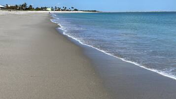 Playa en los alrededores, camastros y toallas de playa