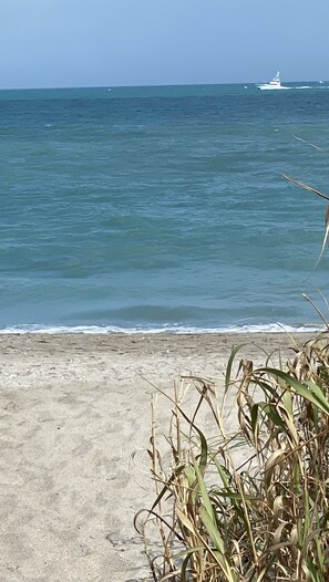 Playa en los alrededores, camastros y toallas de playa 