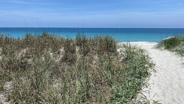Ein Strandweg führt zum Meer mit klarem, blauem Wasser und wolkenlosem Himmel.