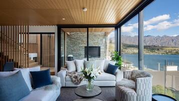 TV, fireplace, Netflix, streaming services