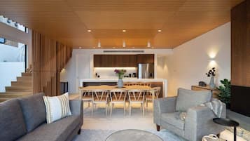 TV, fireplace, Netflix, books