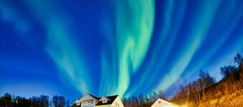 Green Gold of Norway