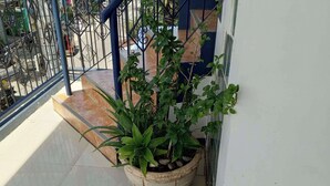 A potted plant on a balcony with a metal railing and a staircase.