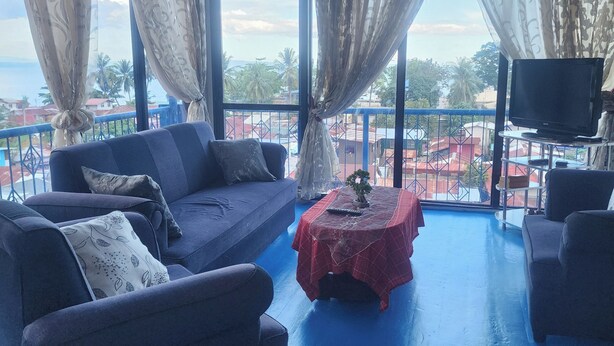 A room with a blue floor, a sofa, a small table with a plant, and a TV on a stand.