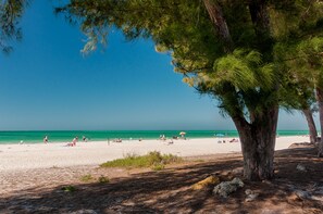 A beach with a large tree providing shade, a sandy beach, and the ocean in the background. - Fun in the Sun  Gulf front, steps to the sand, 4-bed with spectacular views! (Anna Maria)
