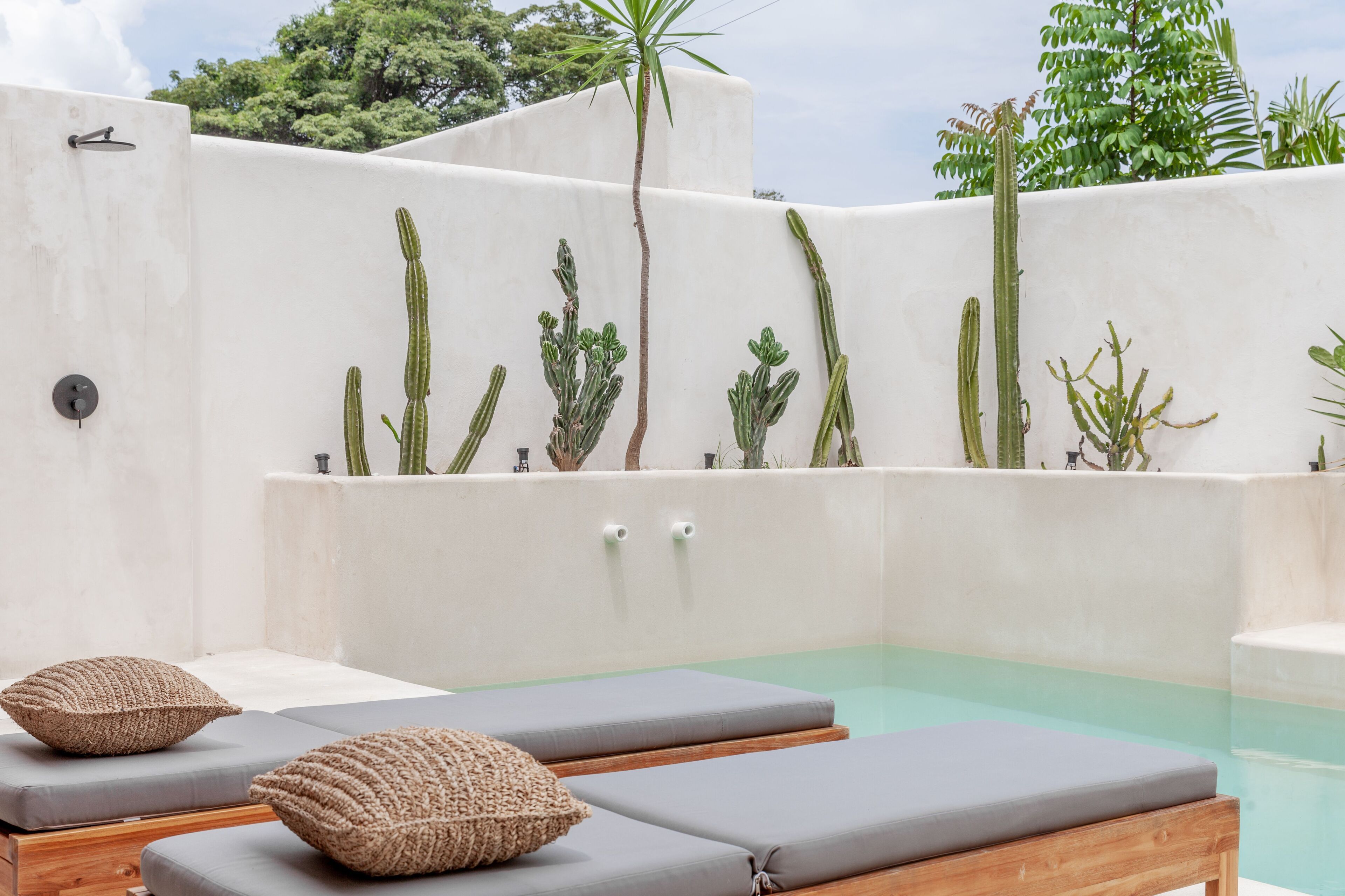 Vista desde la habitación