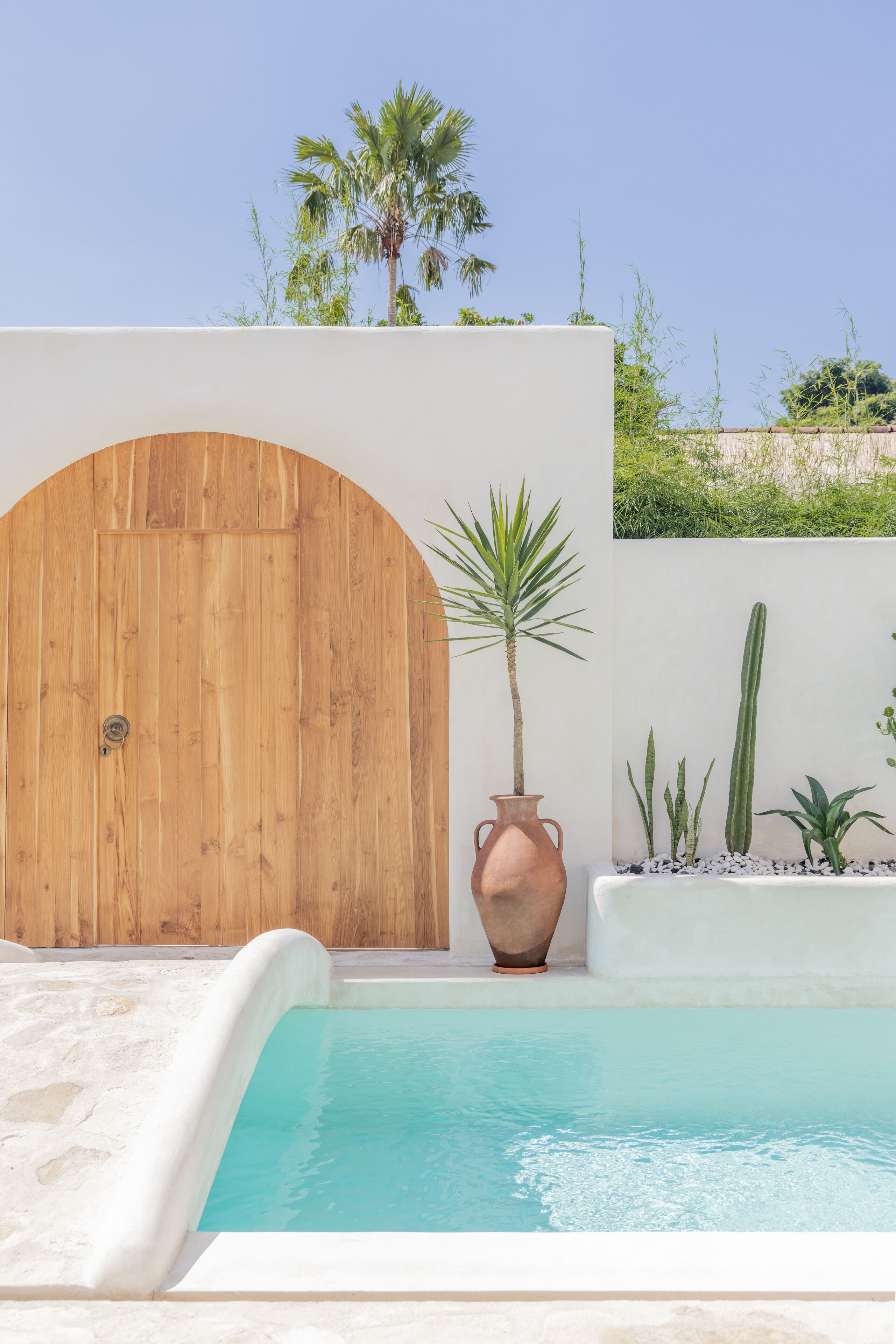Zona de piscina con una puerta de madera, un jarrón grande y varias plantas.