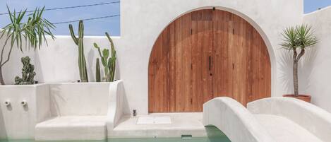 A pool area with a wooden door, white walls, and cacti.