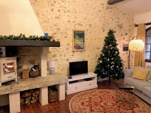 A cozy living room with a stone fireplace, a television, a Christmas tree, and a patterned rug.