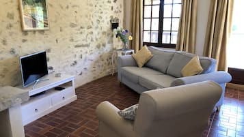 Télévision, cheminée, lecteur de DVD, table de tennis de table