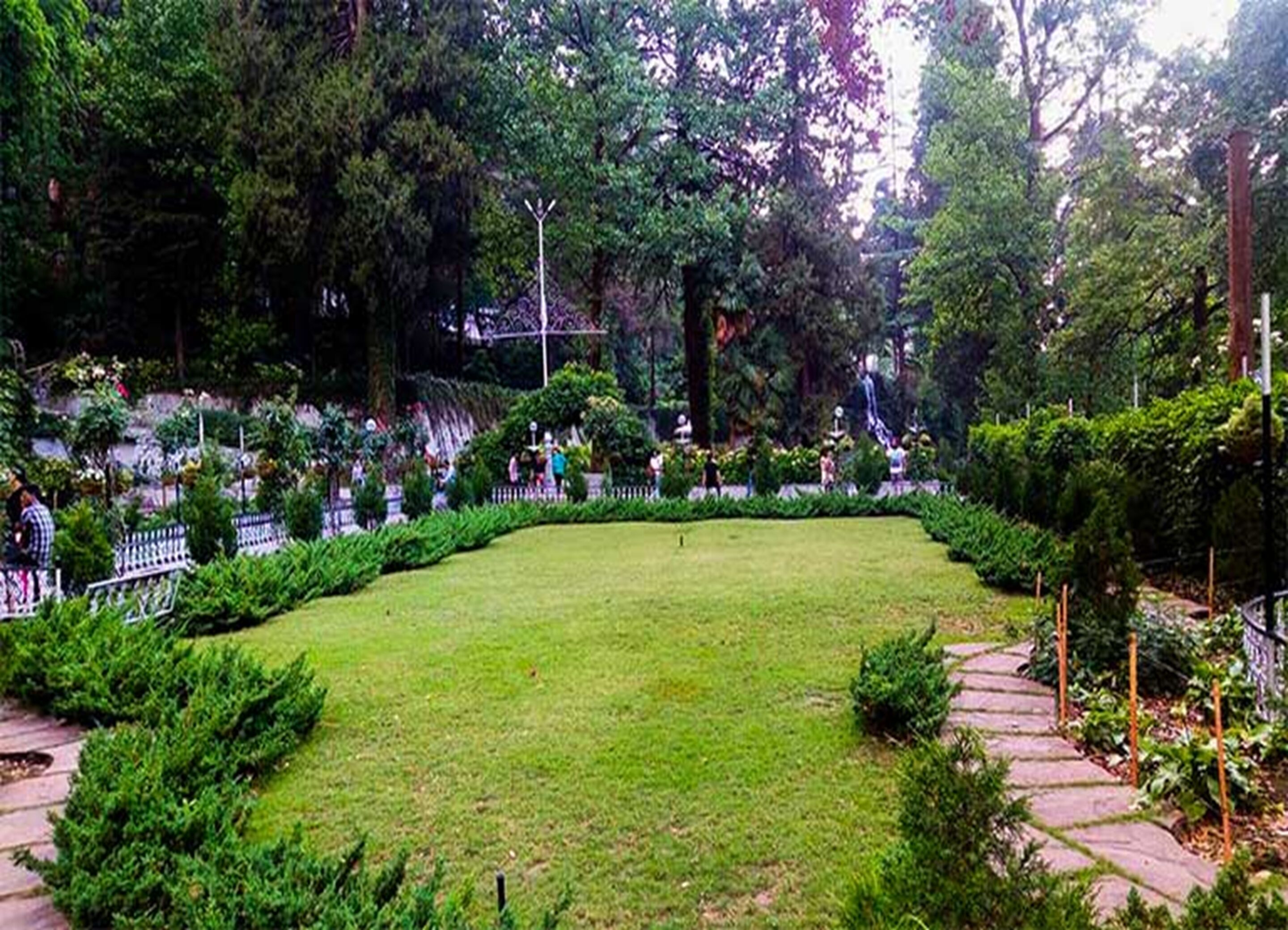 A well-maintained garden with a central lawn, surrounded by various shrubs and trees.