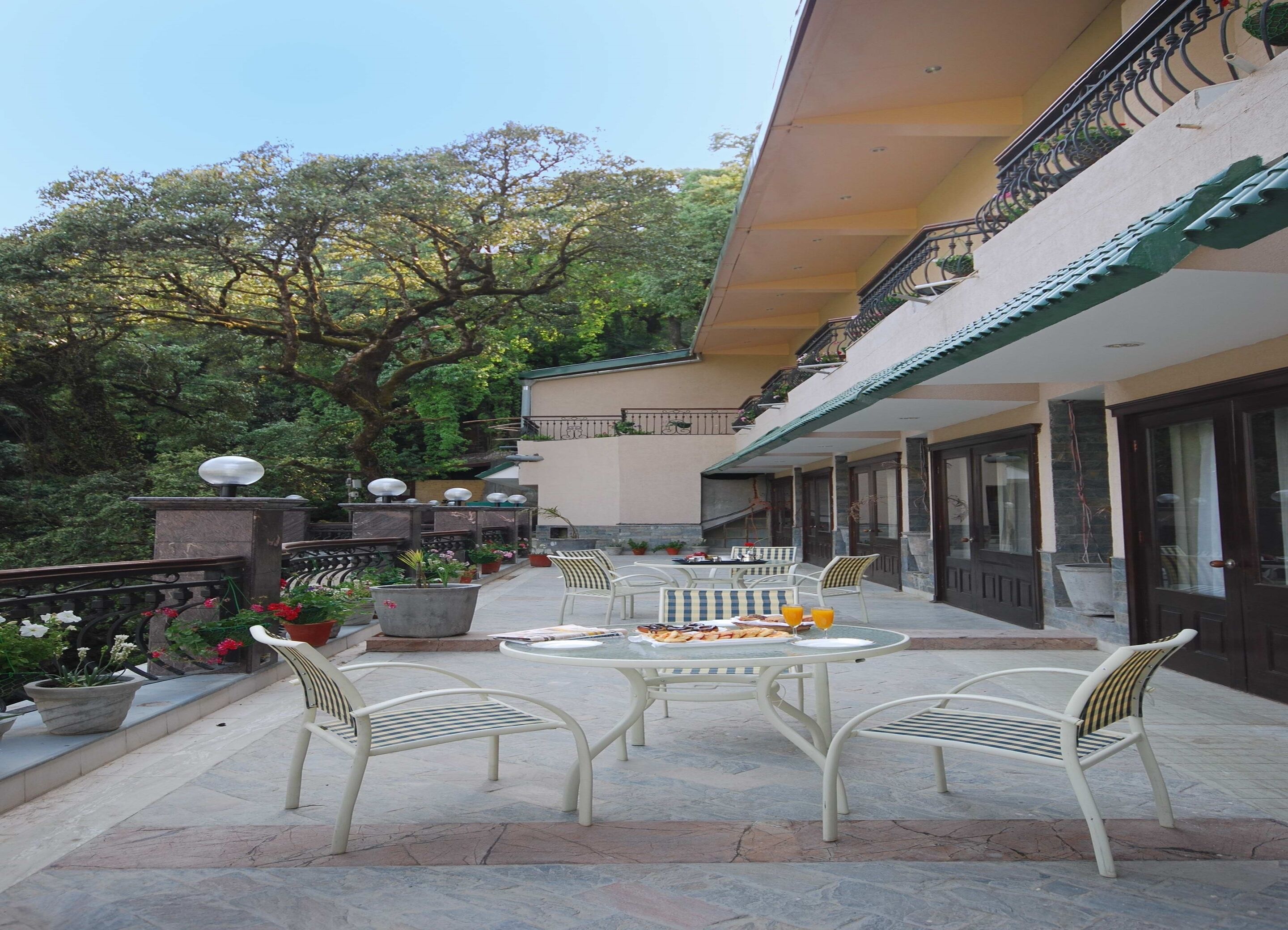 An outdoor patio with a table and chairs, surrounded by potted plants and a large tree.