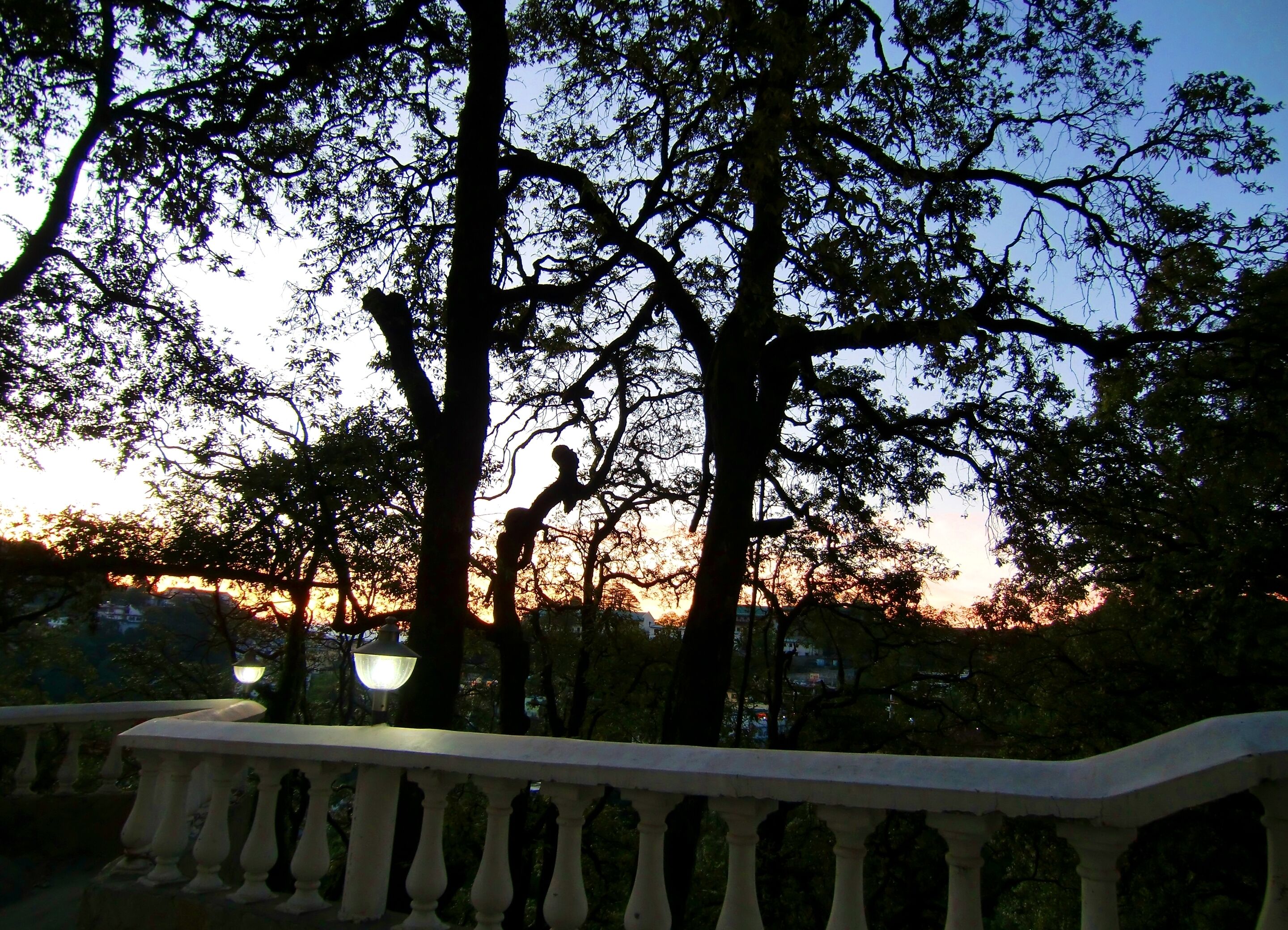 A balcony with a white balustrade overlooking a park with trees and a sunset in the background.