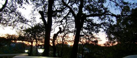 A balcony with a white balustrade overlooking a park with trees and a sunset in the background.