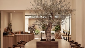 Comedor con una gran mesa de madera rodeada de sillas, un árbol en el centro y una barra con utensilios de cocina.