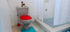 A bathroom with a toilet, a shower, and a toilet paper holder.