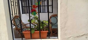 A balcony with a potted plant, two wicker chairs, and a metal railing.