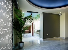 Una hall moderna con una grande pianta in vaso, una parete di vetro con testo bianco e un soffitto curvo.