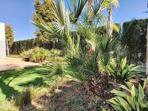 Terrein van de accommodatie