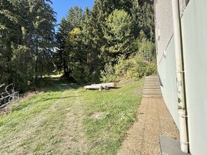 A grassy area with a pathway leading to a building, surrounded by trees.