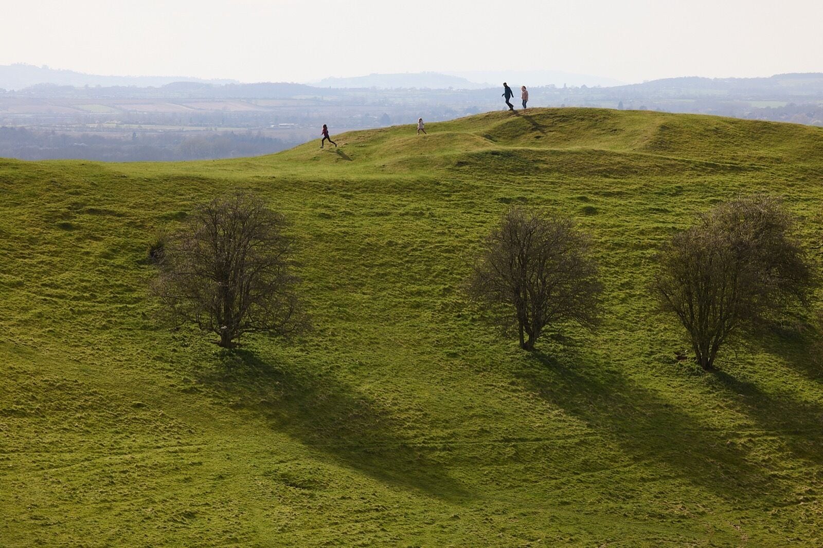 A grassy hill with three people walking, and three trees.