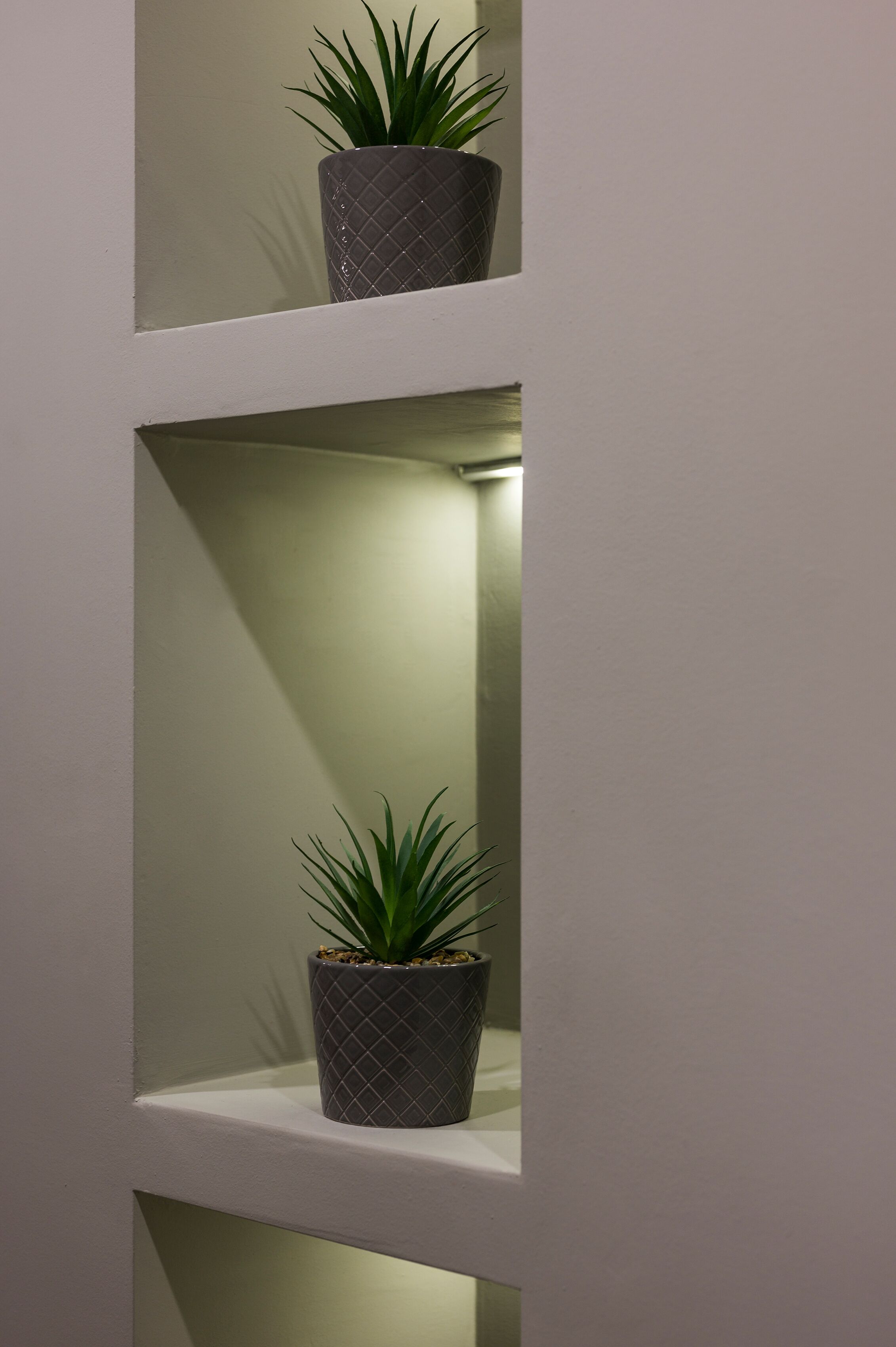 A wall with two shelves, each holding a potted plant.