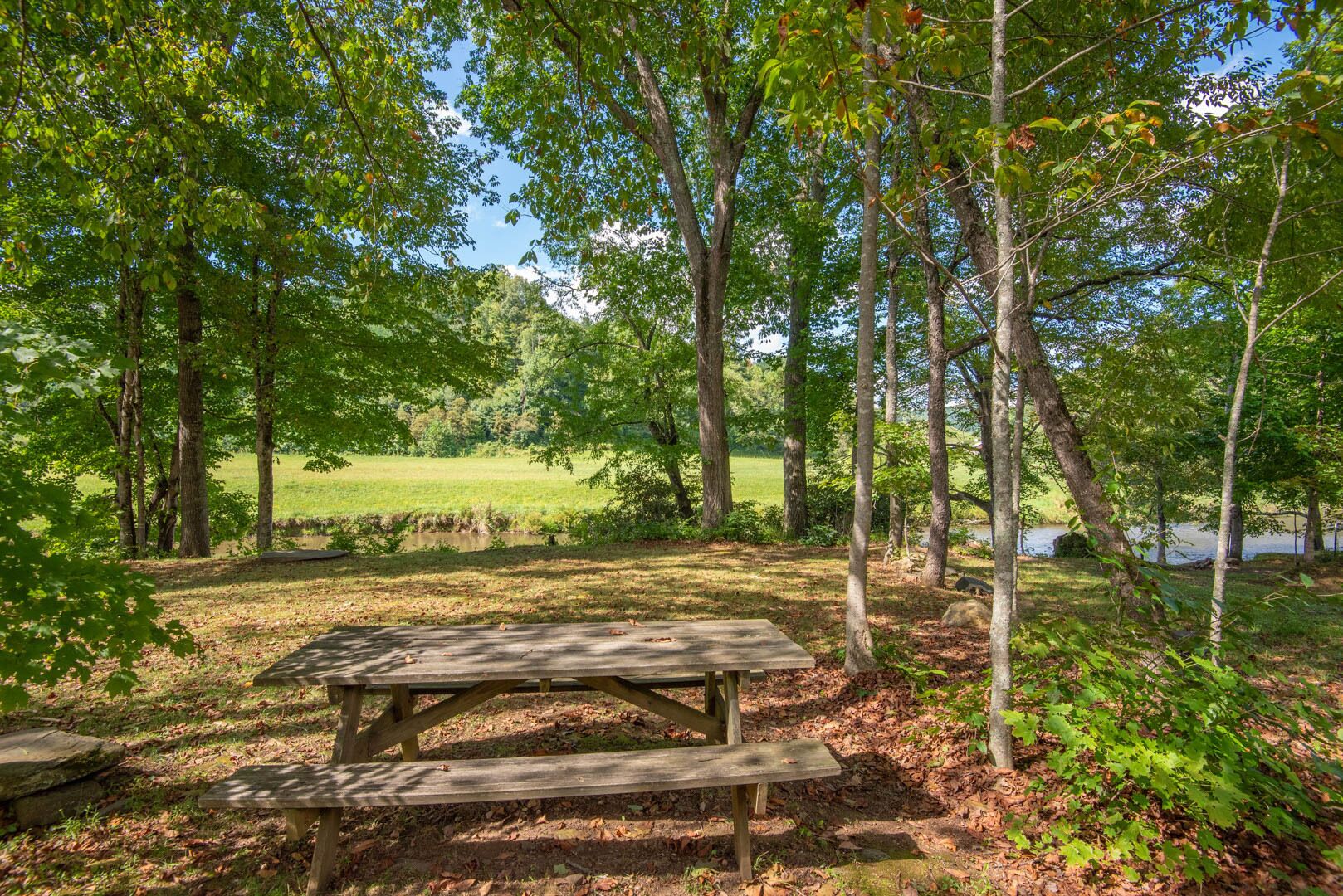 A picnic table in a wooded area with a grassy field and a body of water in the background.