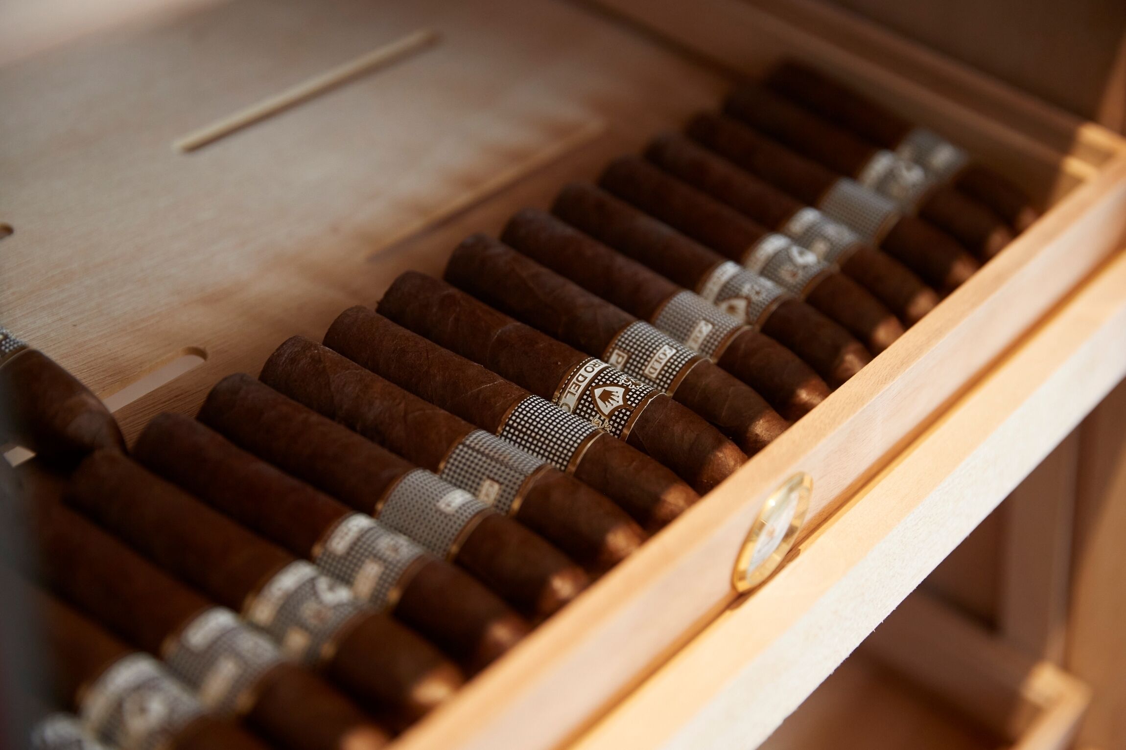 A wooden cigar box with multiple cigars arranged in rows.
