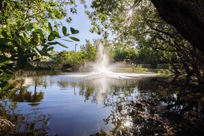 Property grounds - Fully Updated 2/2 Condo! The Grand Cayman Suite (Key West)