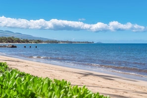 A beach with clear blue water, sandy shore, and a distant landmass with vegetation. - Kihei Beach 606 - Direct Ocean Front, Breathtaking Top Floor Views, Central AC! (Kihei)