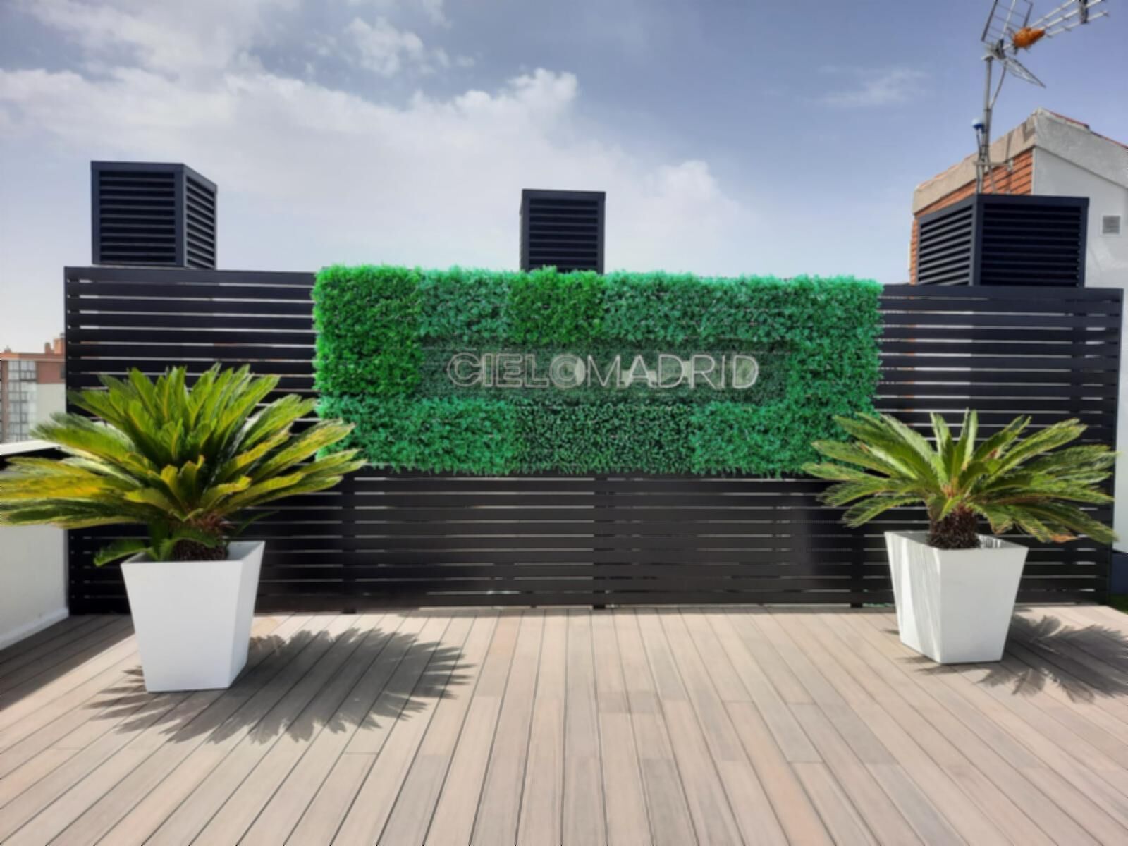 A rooftop with a green wall, two potted plants, and a sign reading "CIELOMADRID".