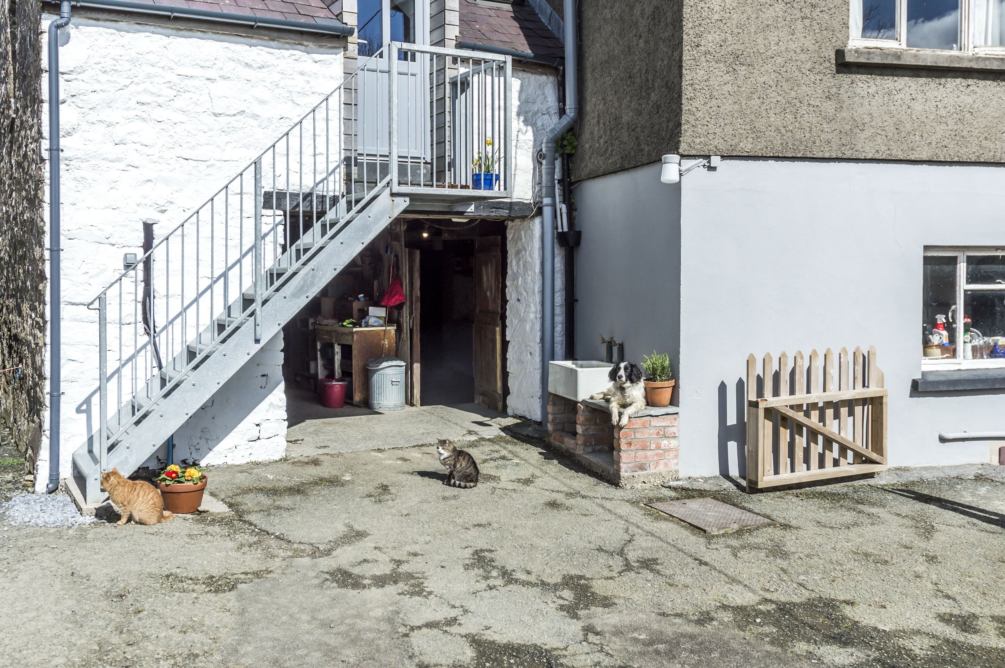 Un estrecho callejón con una escalera que lleva a la entrada de un edificio, una puerta de madera y una planta en maceta.