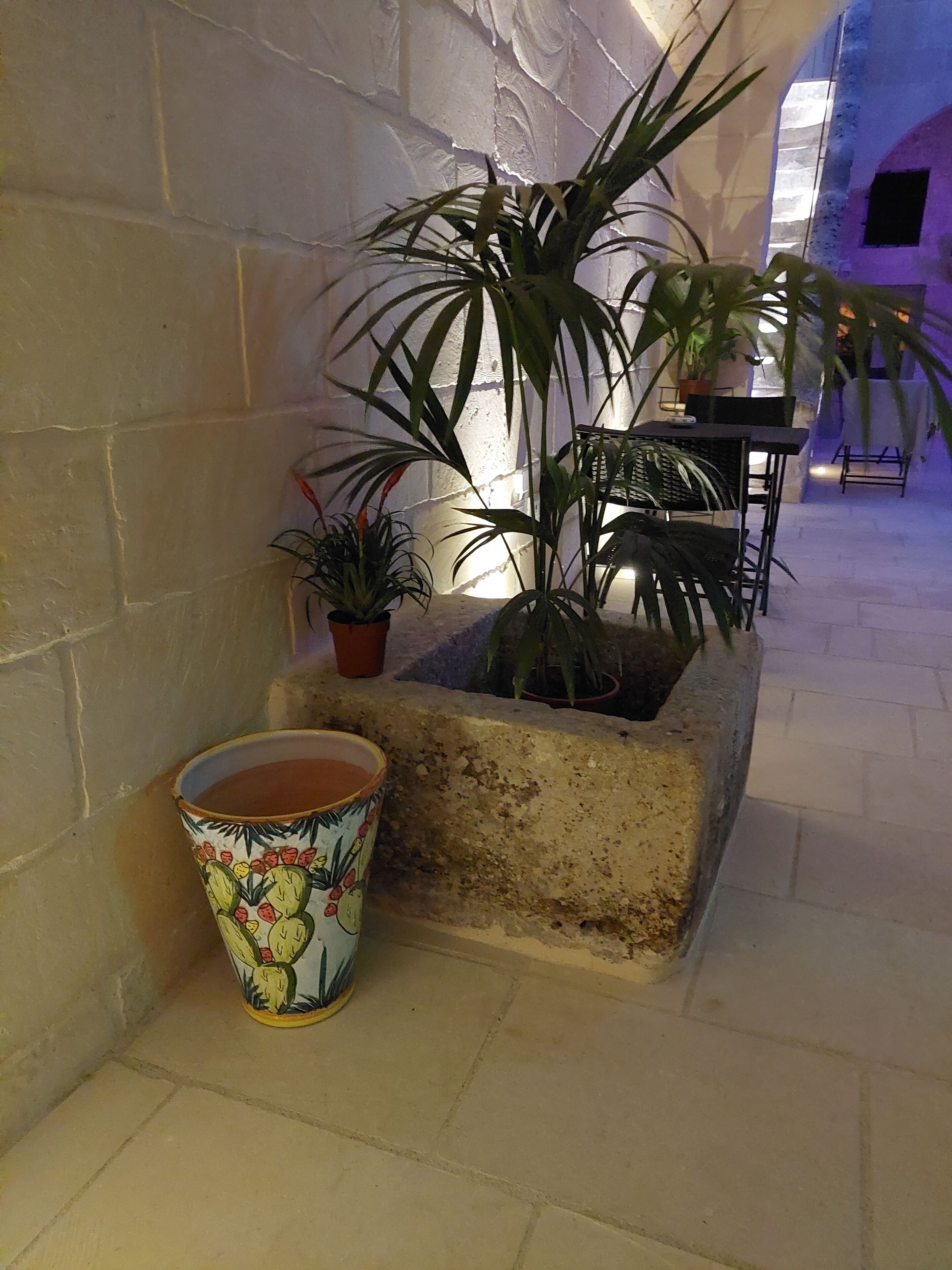 A corner with a potted plant, a decorative cup, and a stone planter.